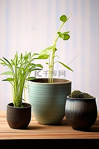 小土盆和一个装有植物的小容器