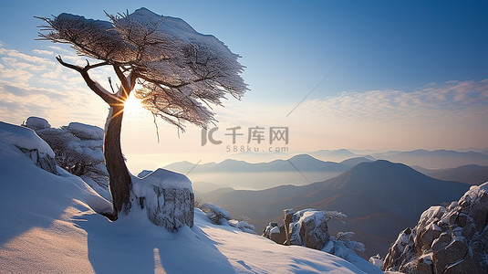 山顶雪中的一棵孤独的树