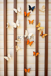 蝴蝶栖息在日本共同寺延诺基多的木栅栏内