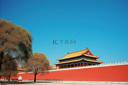 北京花背景图片_墙前有树木和蓝天的区域