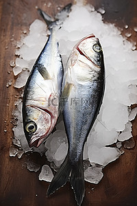 冰上嬉戏背景图片_冰上的三条鱼坐在木板上