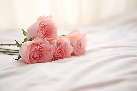 白色的花背景图片_玫瑰躺在白色的床上，上面有白色的毛巾