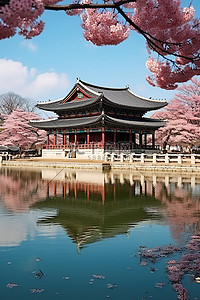 砖砌的背景图片_池塘里有粉红色盛开的树木和一座砖砌建筑