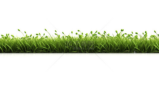 春天牧场背景图片_原始白色表面与郁郁葱葱的绿色草坪的孤立 3D 插图