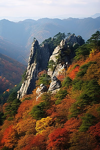 枫叶山背景图片_武口山已被秋叶覆盖