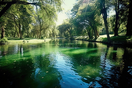 一个有草有树的池塘，水清澈碧蓝