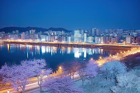 朝鲜城市夜景，河边树木繁茂