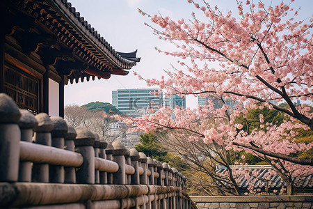樱花背景图片_韩国首尔旅游胜地葱门