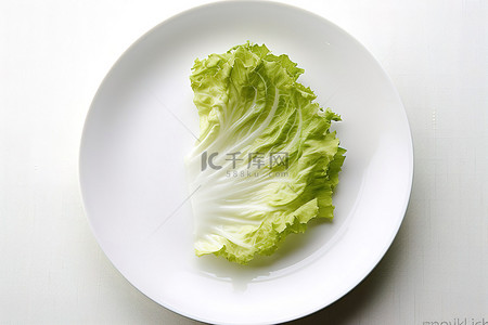 马克笔蔬菜背景图片_上面有生菜的白盘子