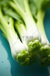 食品中国背景图片_元中国芦笋