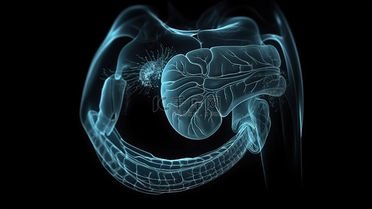 孤立的黑色背景 3d 渲染的 x 射线胃