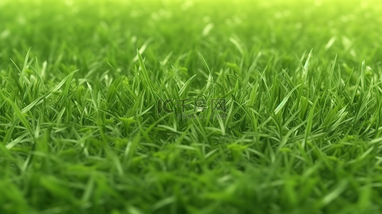 3D 渲染绿草田背景的插图