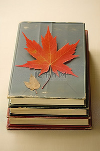三本书叠放在一起，封面上有红叶