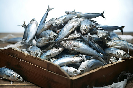 贝类背景图片_木箱里的煮鱼，不同大小的鱼的集合