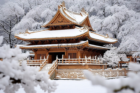 寺庙建筑背景图片_雪落在一座大型寺庙建筑上