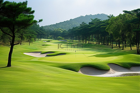 绿草人背景图片_泰国靠近大自然的郁郁葱葱的绿草高尔夫球场