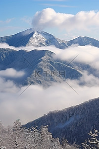 云树木背景图片_一座白雪覆盖的山和树木，上面有云