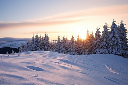 Winterscape 日出时在山上雪中的冬季景观
