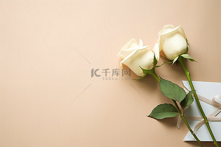 花玫瑰背景图片_两朵玫瑰和一个靠近的信封