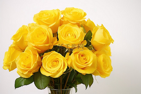 一束黄玫瑰放在白色背景的花瓶里