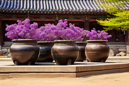 三个槽位于一座建筑物前，前面有许多开着紫色花朵的大盆