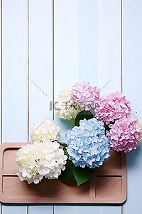 花瓶绣球花背景图片_蓝色绣球花和白色花朵安装在木盘上