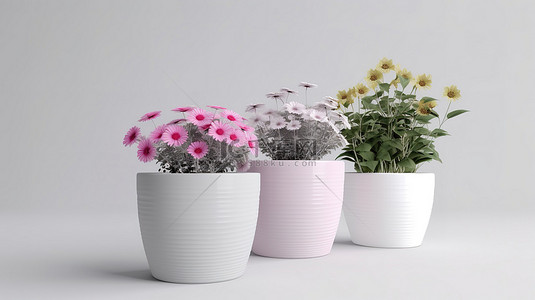 白色背景下三个独特花盆的白色花盆 3d 渲染