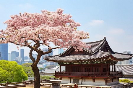 一棵开花的树坐落在一座老建筑附近