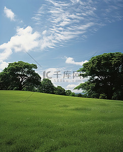 长满草的小丘原野