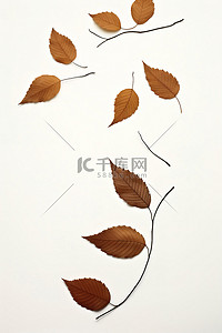 特写树叶背景图片_上下飞舞的树叶和树枝的集合