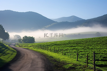 一条乡间小路通向山里的绿色田野