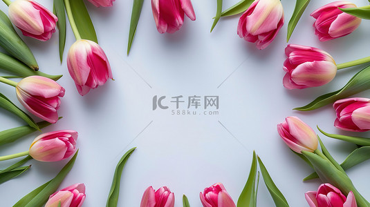 郁金香花朵美丽的框架背景图