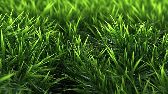 春天的花草地背景图片_带纹理的草地背景 3d 渲染新鲜度