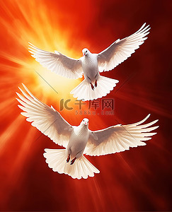 两只白鸽在橙色燃烧的背景上飞翔