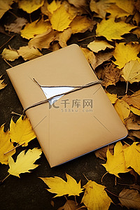 秋天银杏落叶背景图片_街上铺着树叶的棕色笔记本，上面有邮局信封