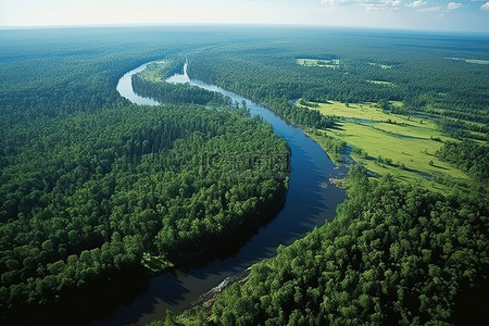 树林里的一条河