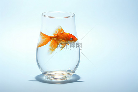 正月里来是新年背景图片_一个玻璃杯被用来把金鱼放进玻璃杯里