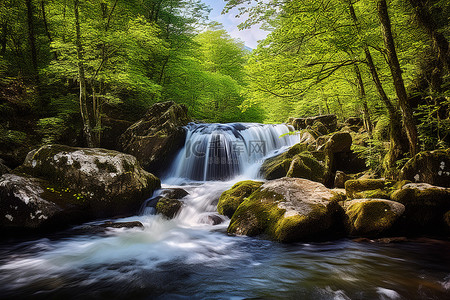 春天旅游背景背景图片_绿色森林环境中的瀑布和湍急的溪流