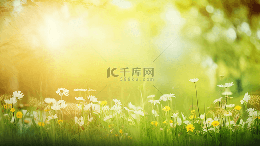 鲜花广告背景背景图片_草地花卉日光春季广告背景