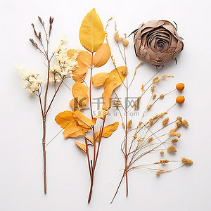 叶子和花朵背景图片_干燥的黄色和橙色叶子和花朵