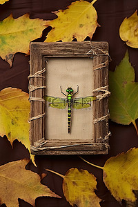 秋叶上框架中的蜻蜓