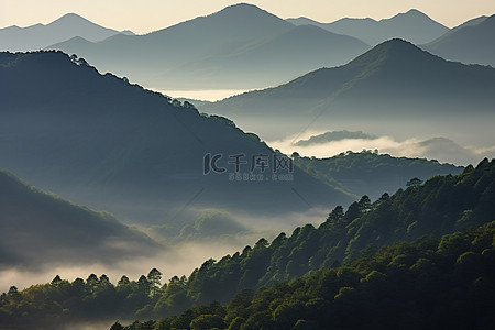 山中景色背景图片_背景中有雾气和薄雾的山脉和树木的景色