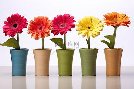 彩色花瓶背景图片_白色表面上的木制陶土花瓶中的五朵小彩色格伯雏菊