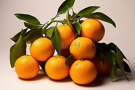 便当免扣PNG图背景图片_树枝上的橘子 免费 png 格式的橘子