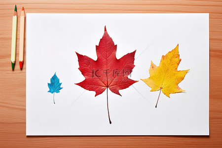 秋天红枫叶背景图片_红枫叶纸上的彩色其他