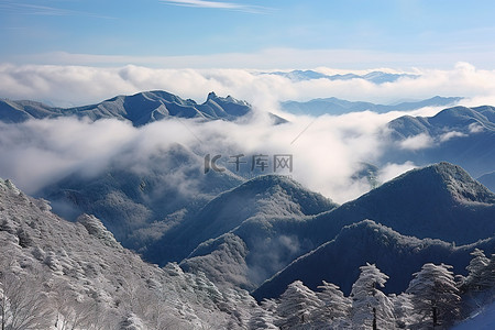 中山底图背景图片_雪林中山的全景