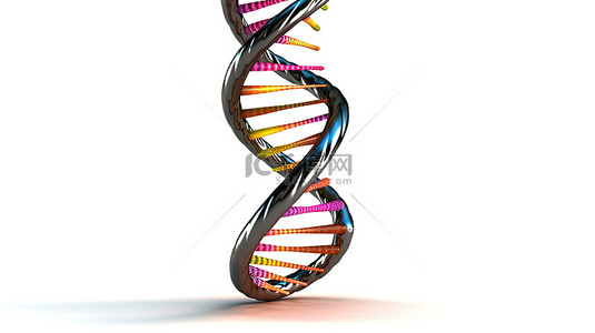 白色背景下隔离的 DNA 模型的 3D 插图