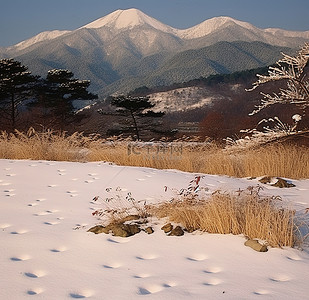 雪地远眺，山峦叠翠