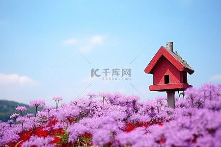 邮箱签名背景图片_紫色花朵山顶上的红色鸟舍