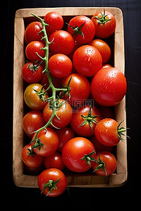 新鮮蔬菜背景图片_新鮮西紅柿